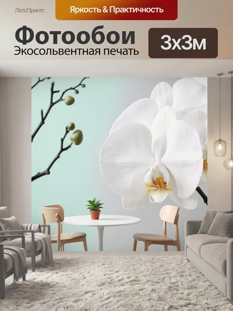 Фотообои Белые орхидеи и уютный интерьер
