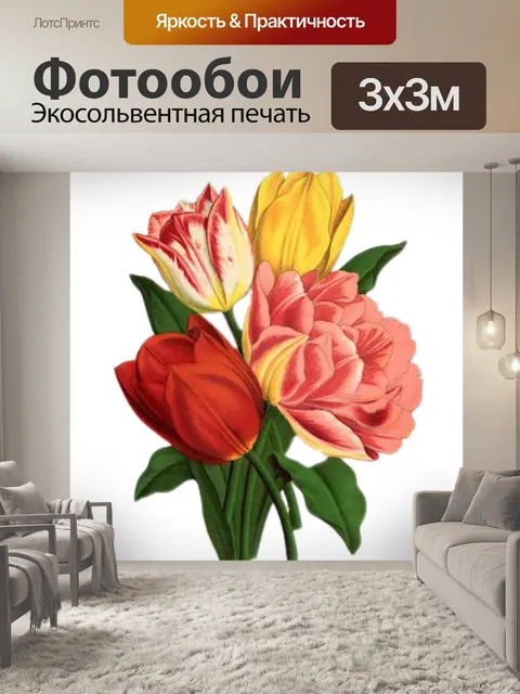 Фотообои Тюльпан