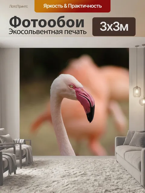 Фотообои Фламинго