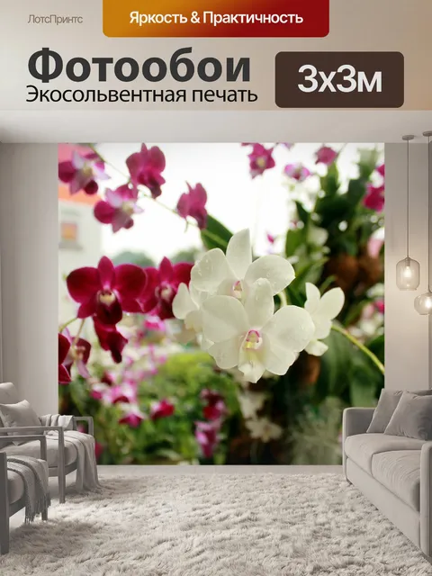 Фотообои Цветок орхидеи цветы