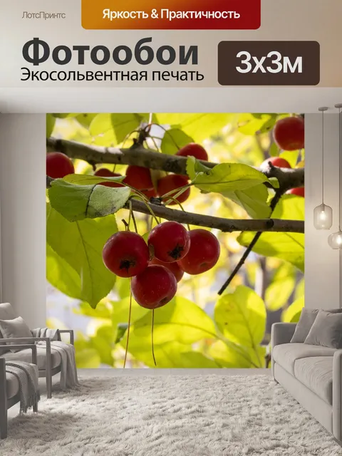 Фотообои Осень