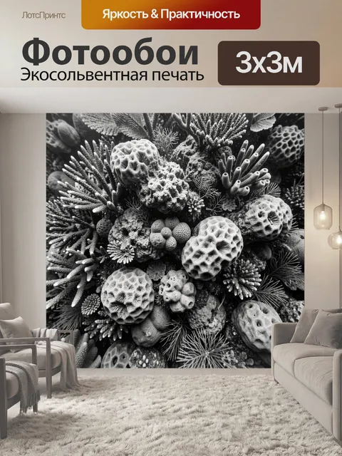 Фотообои Черно-белые коралловые формы