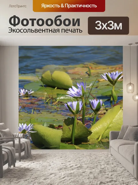 Фотообои Водяная лилия
