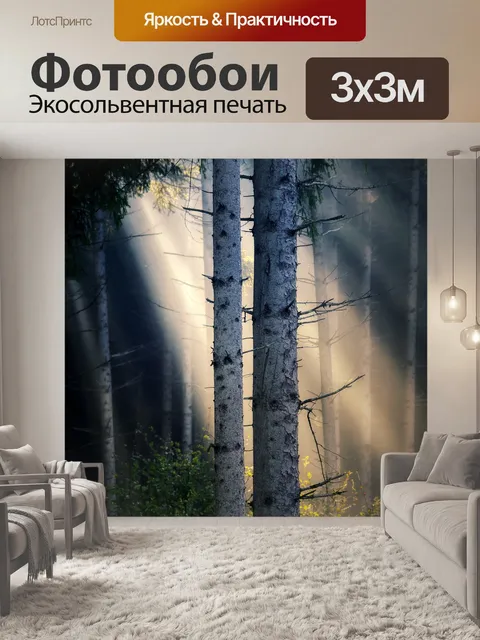 Фотообои Лес