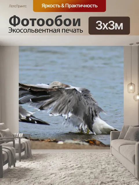 Фотообои Животное