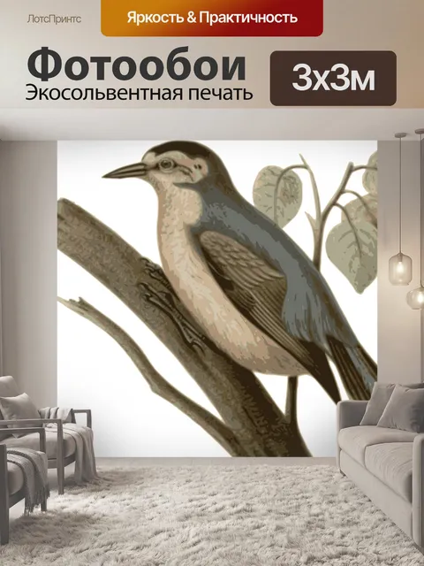 Фотообои Птица