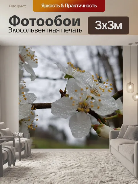 Фотообои Цветы дождь