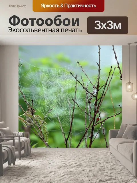 Фотообои Паутина