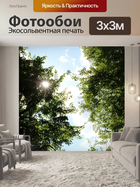 Фотообои Солнце сквозь деревья