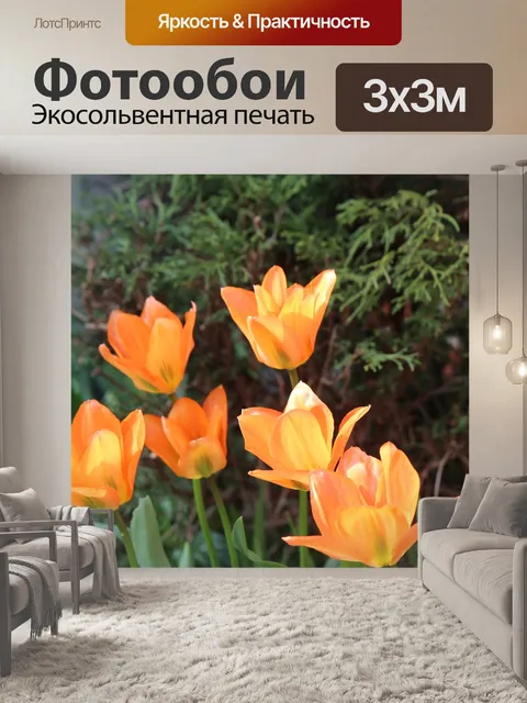 Фотообои Тюльпаны