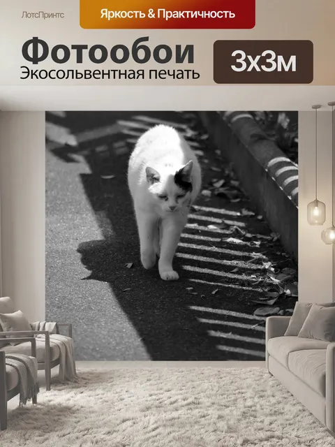 Фотообои Кот и его тень