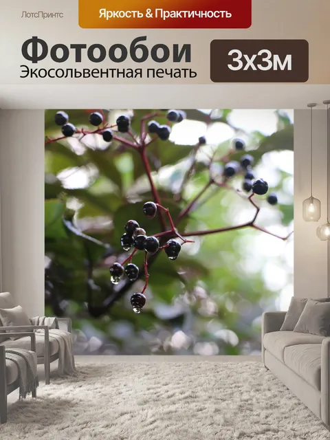 Фотообои Ягоды