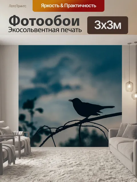 Фотообои Животное