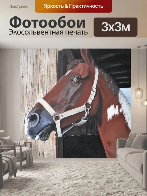 Фотообои Лошадь