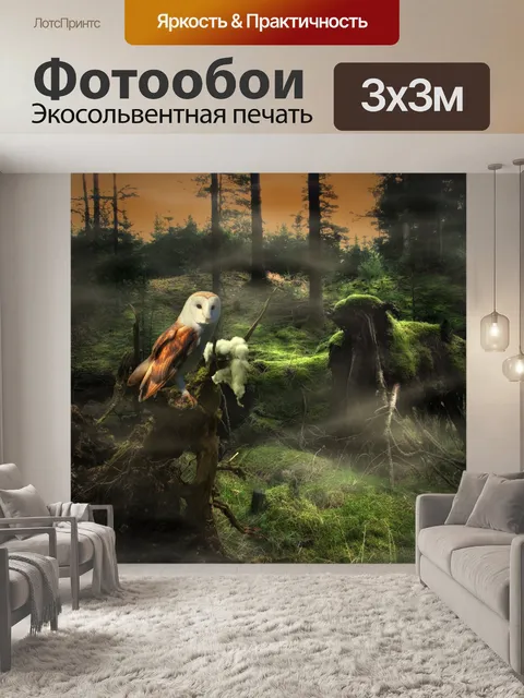 Фотообои Сова