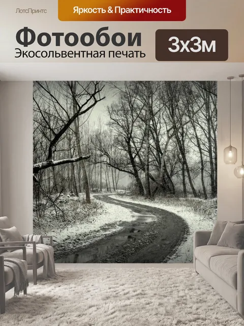 Фотообои Путь заснеженный лес