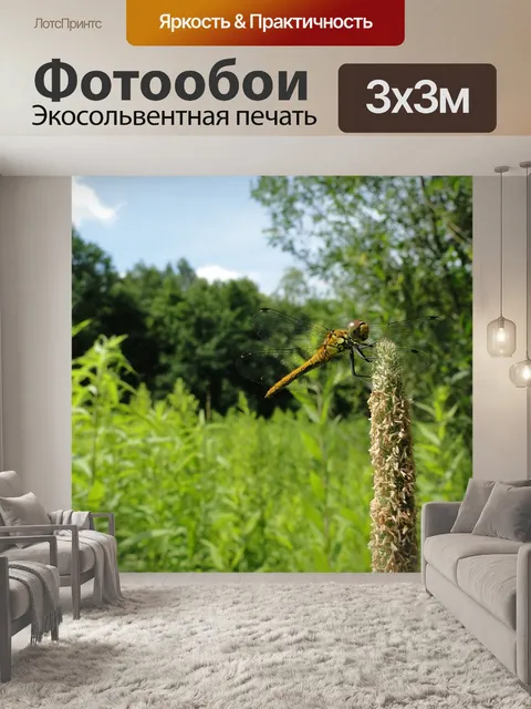 Фотообои Лес