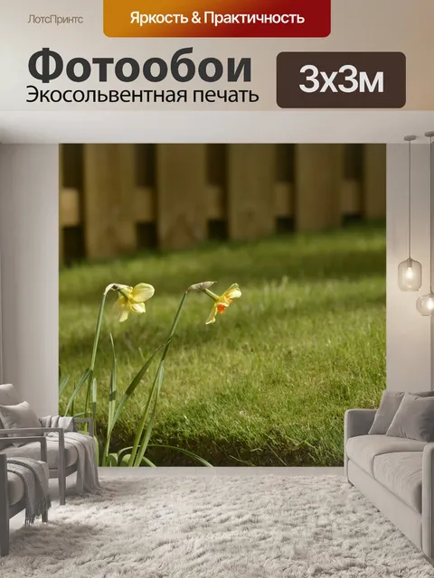 Фотообои Цветы