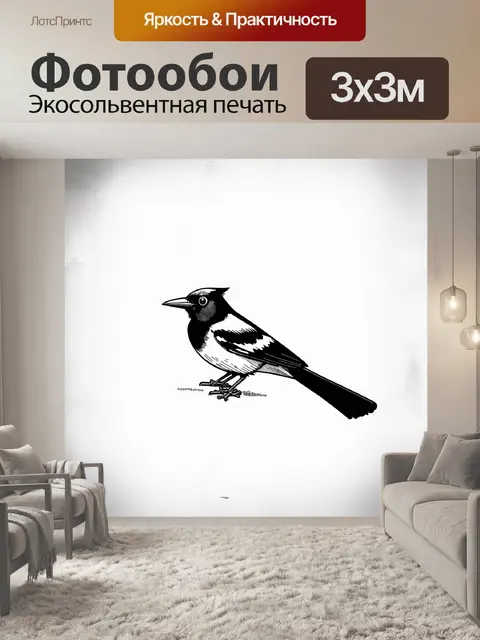 Фотообои абрис сороки, нарисованный простым карандашом на бумаге, в стиле минимализма и графического искусства