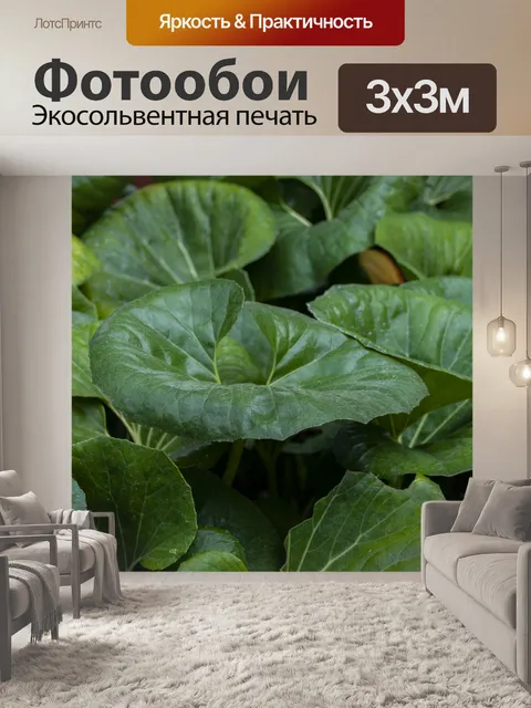 Фотообои Фон листьев растений