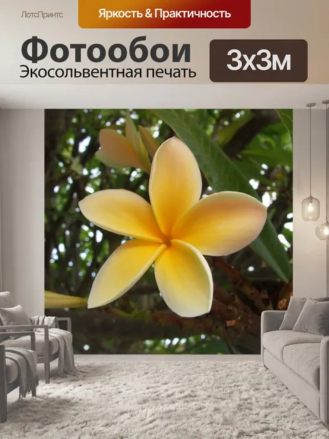 Фотообои Цветок
