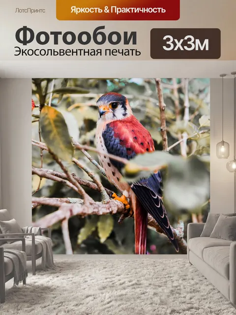 Фотообои Птица