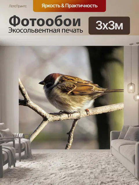 Фотообои Птицы
