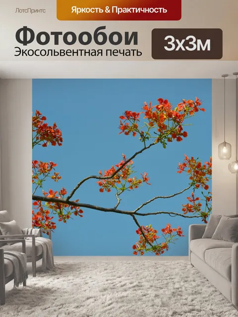 Фотообои Цветы