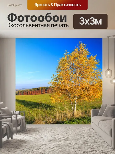 Фотообои Береза ​​осенью