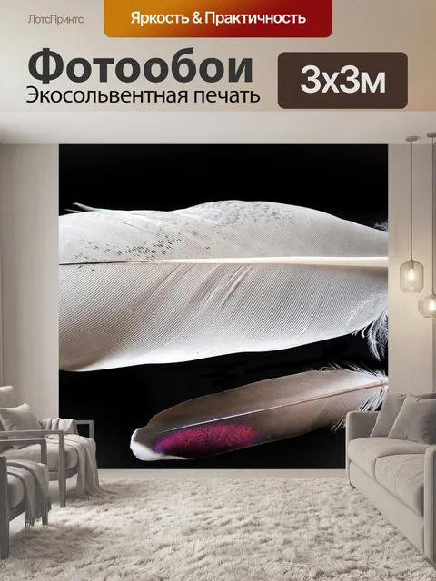 Фотообои Перья