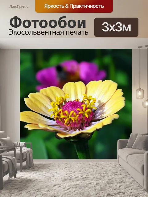 Фотообои Цветы