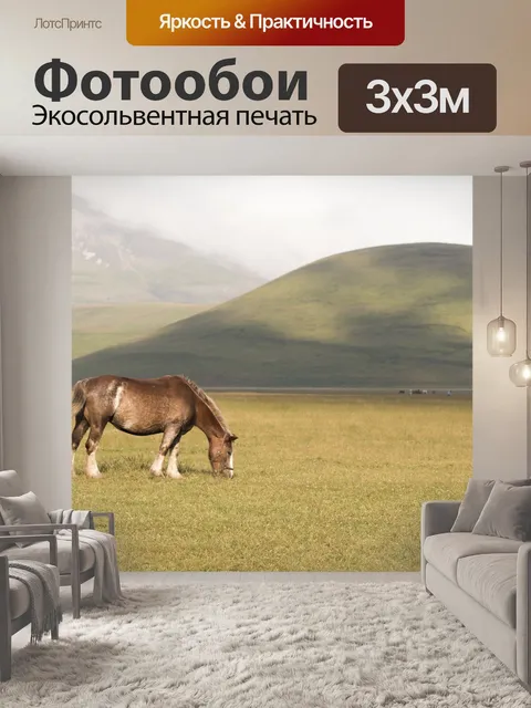 Фотообои Лошадь