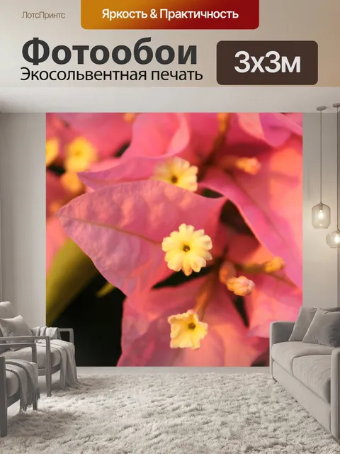 Фотообои Цветок 6