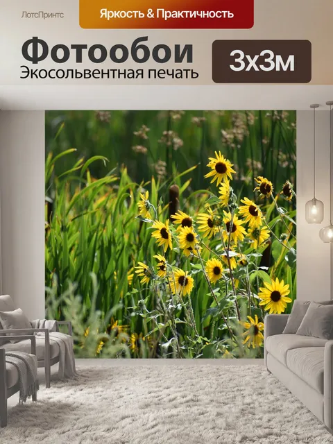 Фотообои Цветы