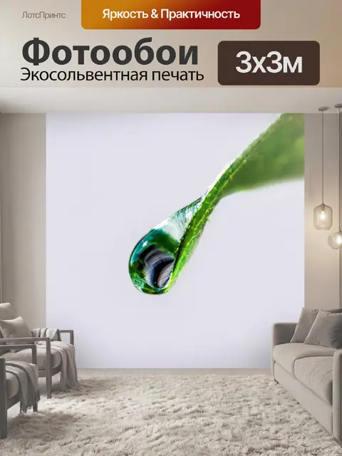 Фотообои Капли воды