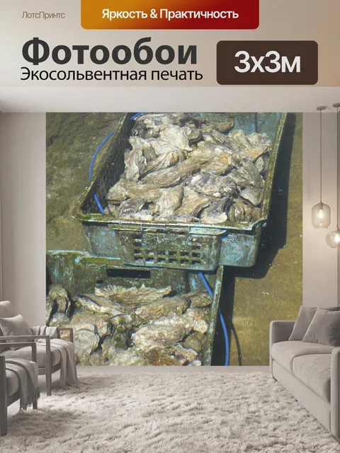 Фотообои Устрицы