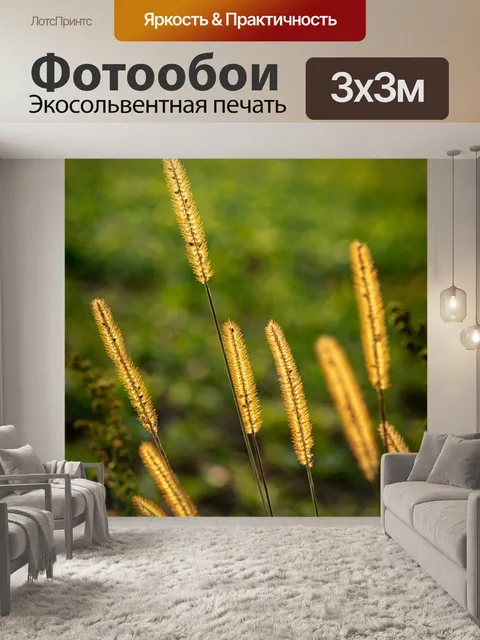 Фотообои Природа