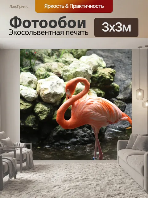 Фотообои Фламинго