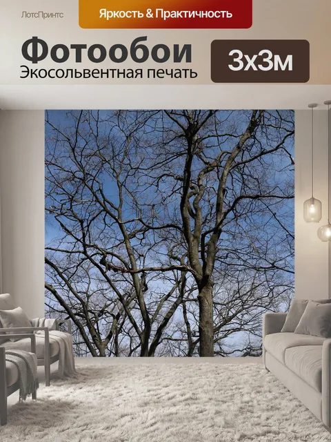 Фотообои Вверх