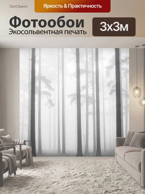 Фотообои Туманный сосновый лес
