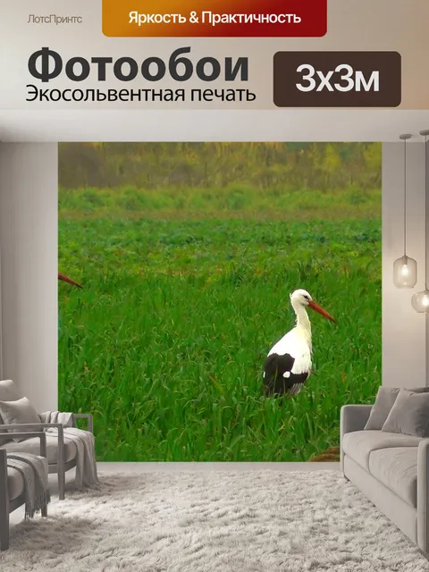 Фотообои Аисты