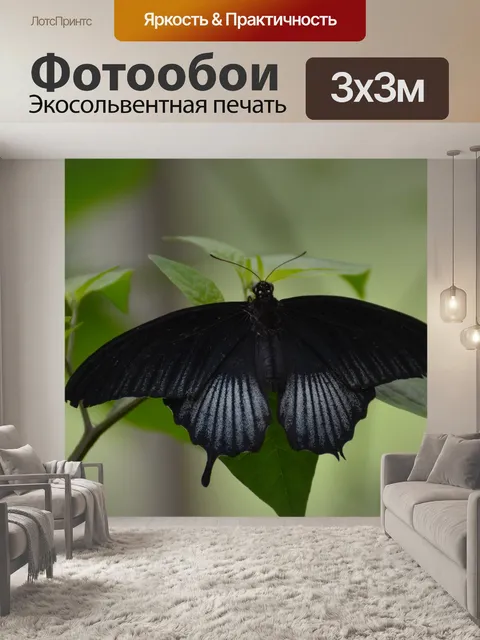 Фотообои Бабочка