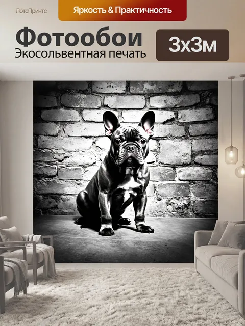 Фотообои стильный французский бульдог синий, позирующий на фоне старинной кирпичной стены
