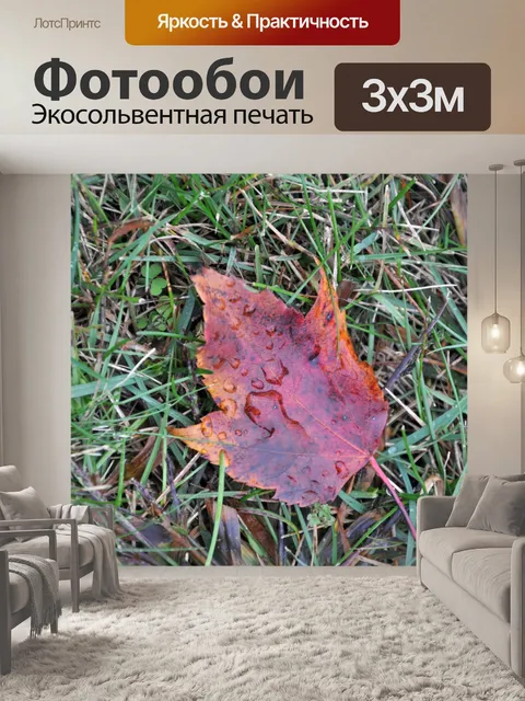 Фотообои Красный кленовый лист