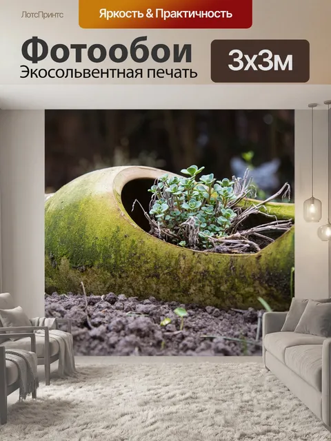 Фотообои Ваза