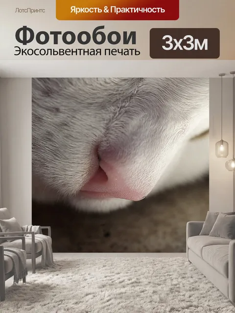 Фотообои Нос