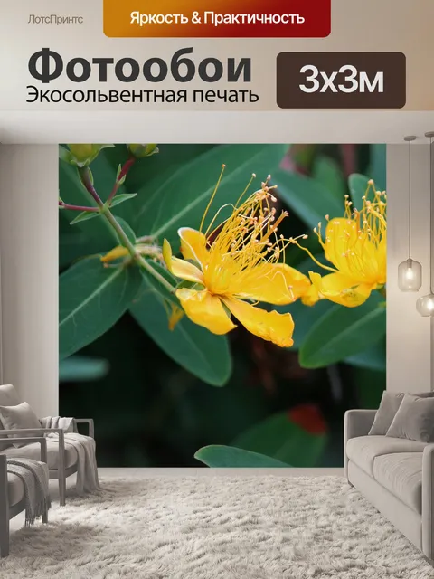 Фотообои желтый цветок зверобоя на кусте