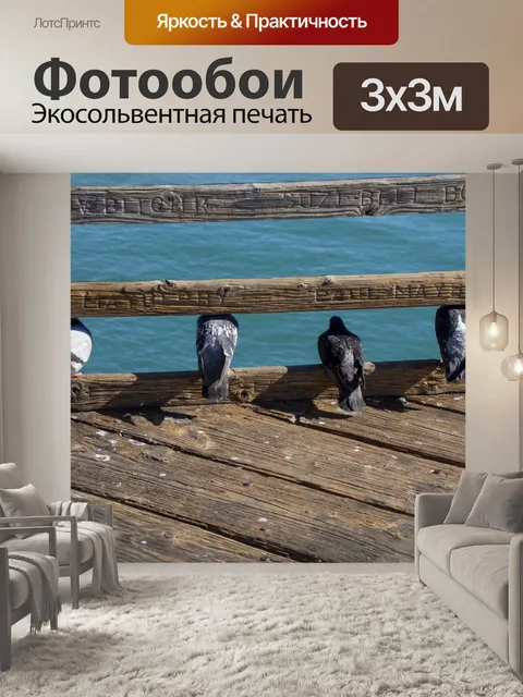 Фотообои Голуби на пирсе