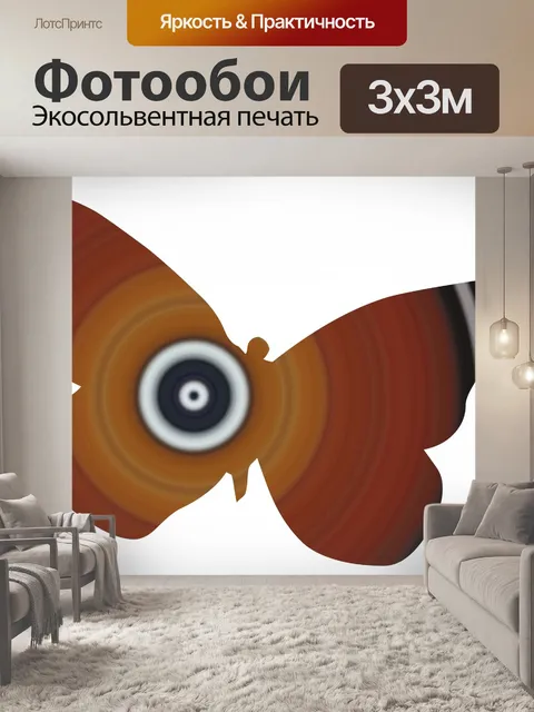 Фотообои Бабочка монарх
