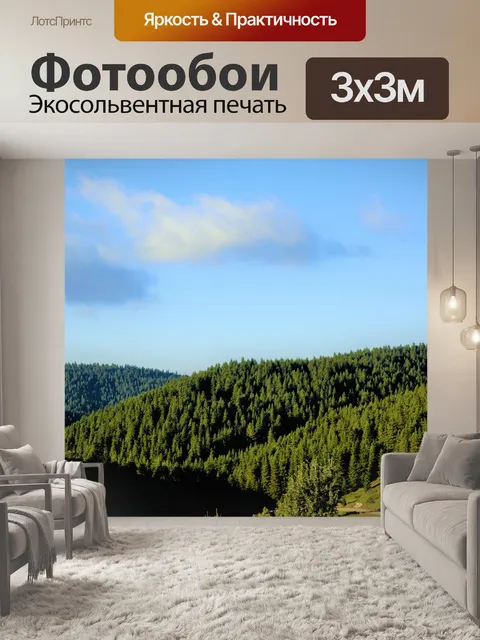 Фотообои Лес